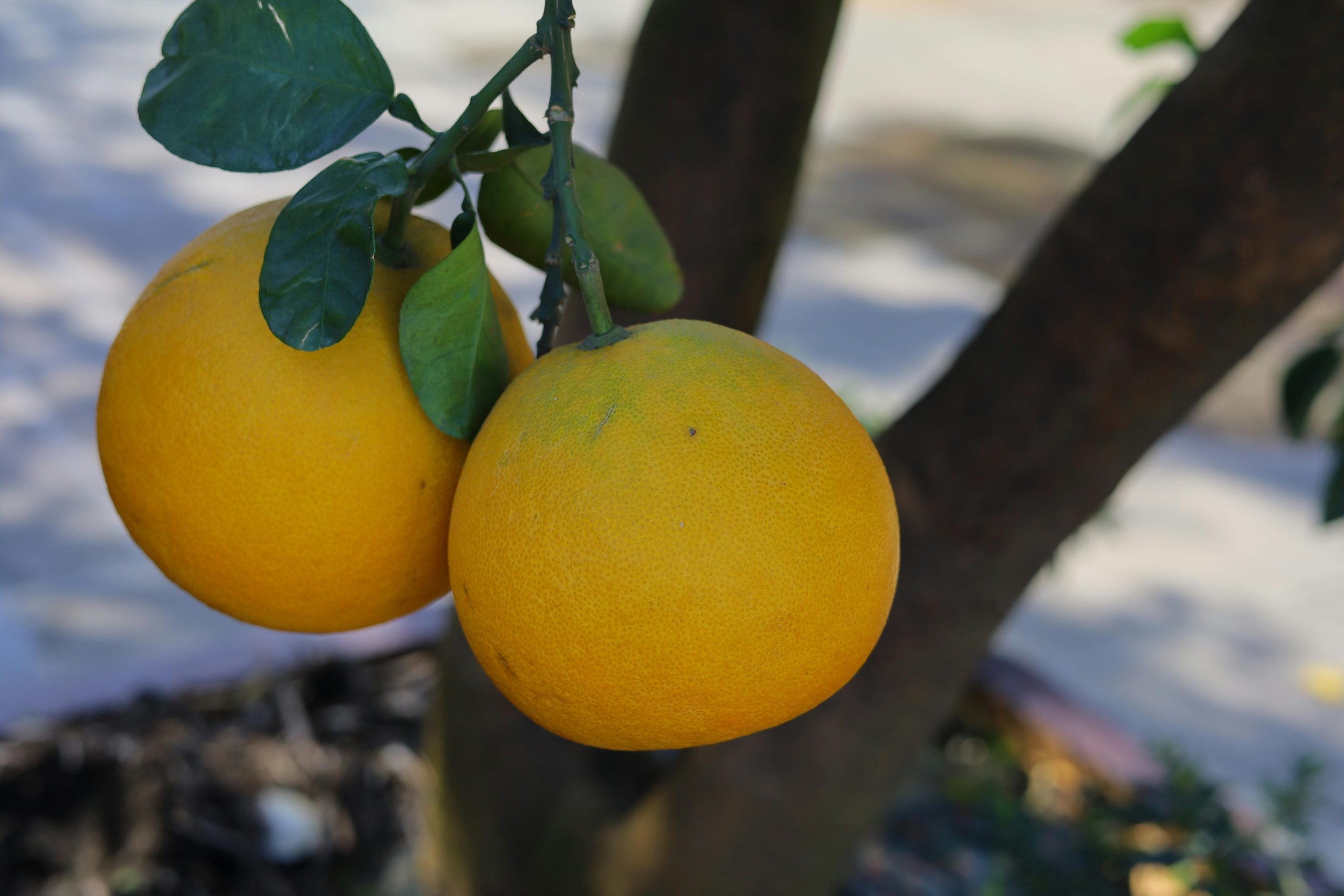 pexels thanh nguy n 75709888 31119636