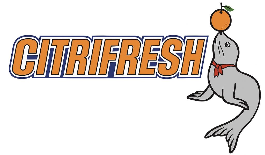 chatgpt image 7 nov 2025, 12 06 49