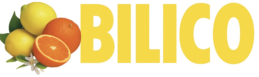 chatgpt image 7 nov 2025, 12 39 33