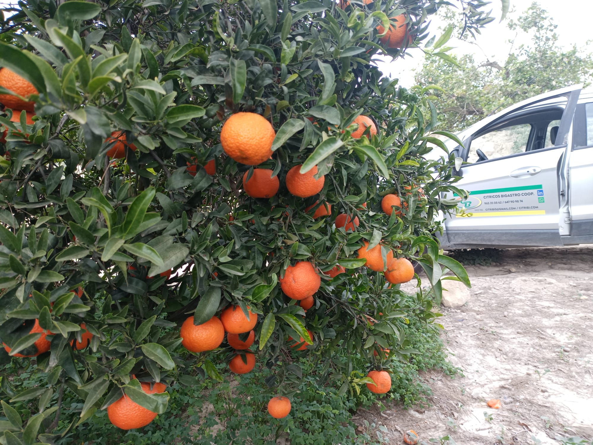 photo 2025 11 14 12 30 12